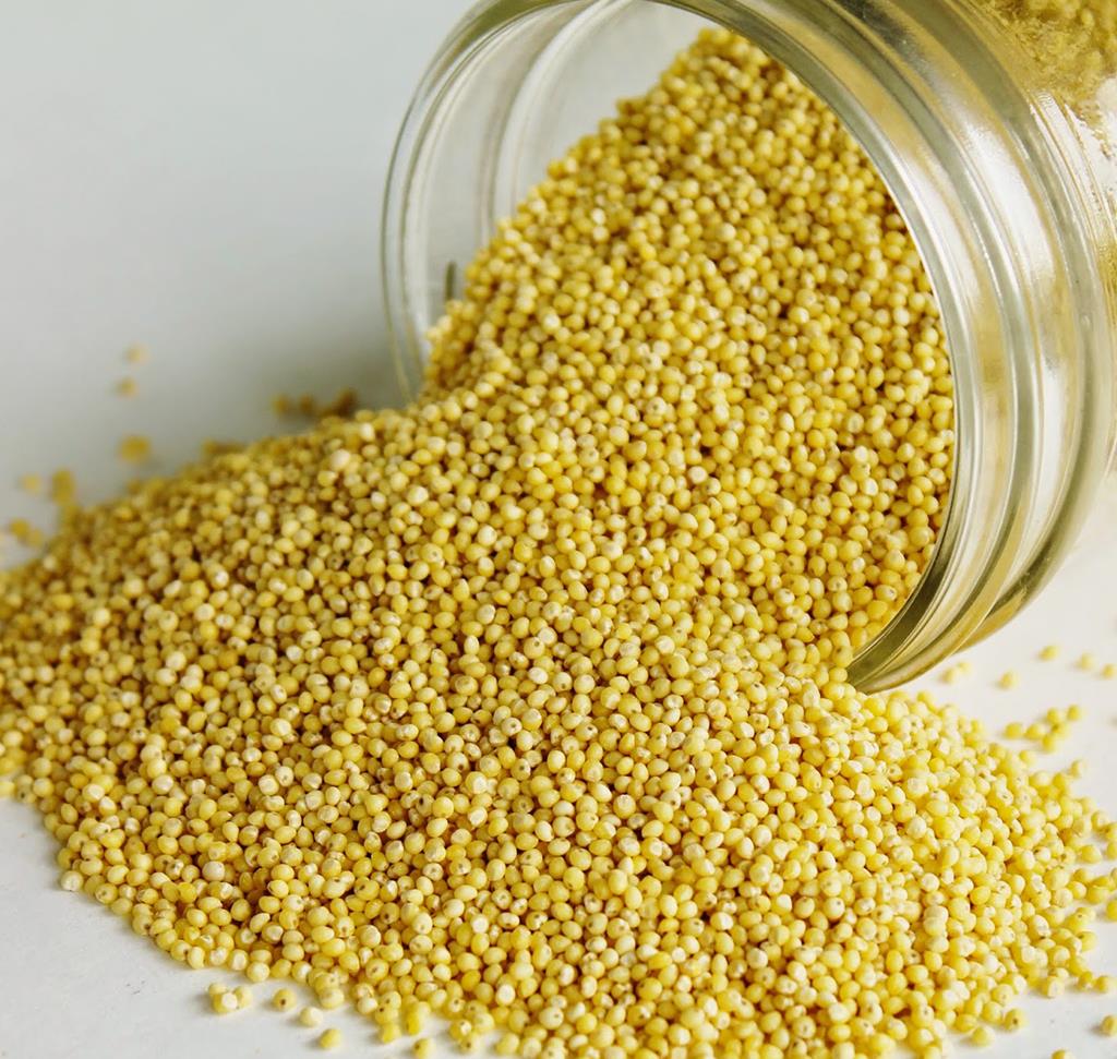 Millet extract Вивасан